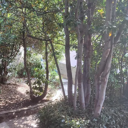 2 Minutes To The Ev Station Available